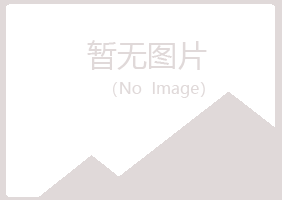 宁夏山柏公益组织有限公司